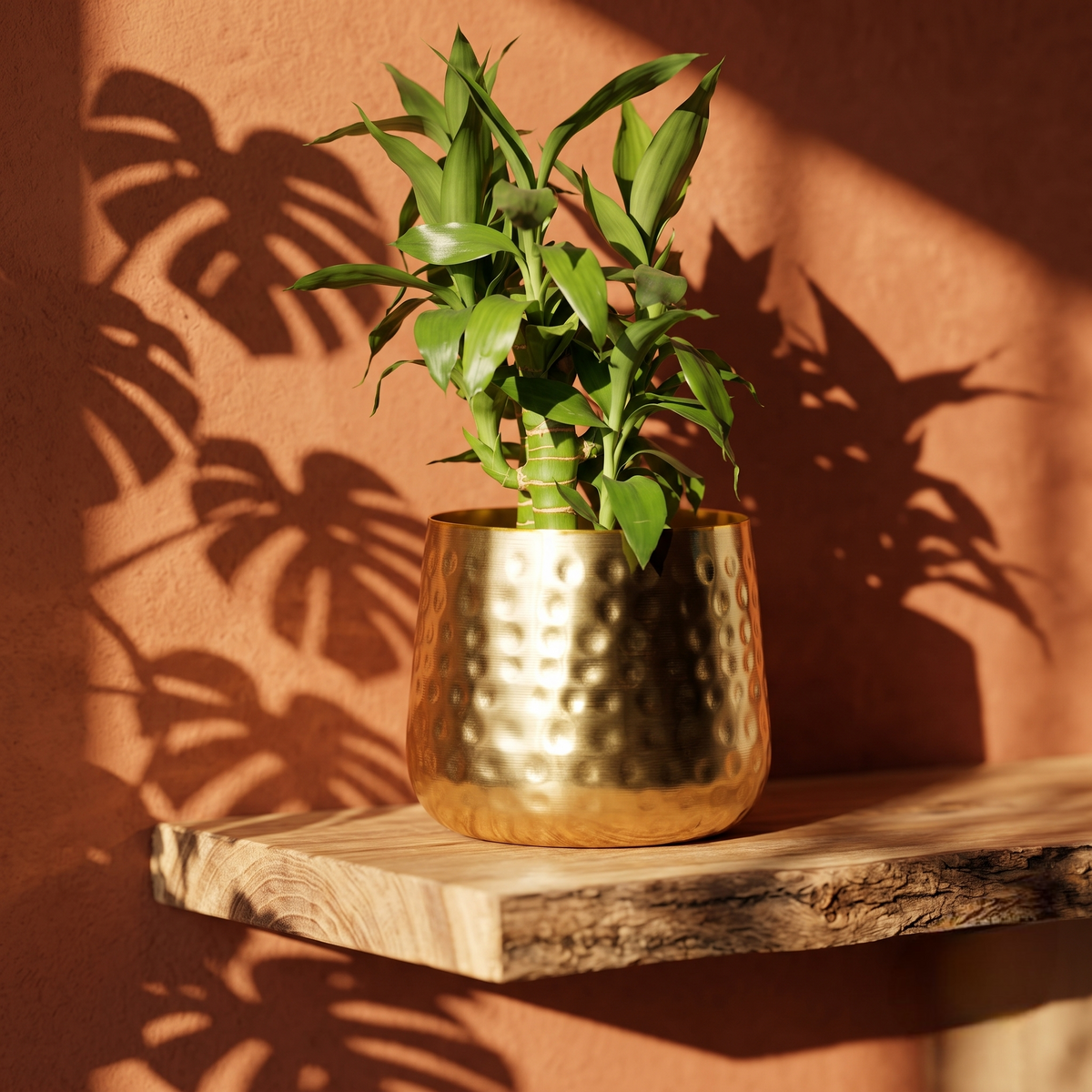 Hammered brass indoor planter pot with green lucky bamboo, sitting on a rustic live-edge wooden shelf against a warm terracotta wall featuring dark monstera leaf shadows.