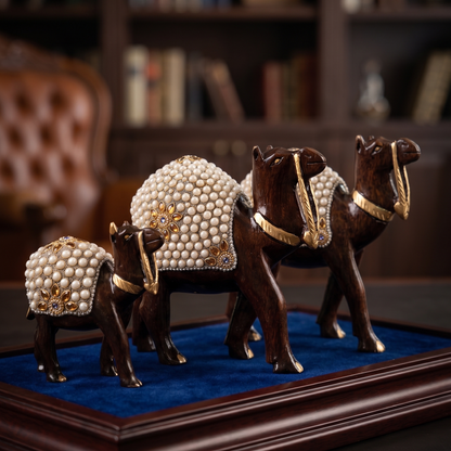 A premium display of three dark wooden camel figurines in small, medium, and large sizes. Each camel is intricately decorated with a saddle made of tightly packed white pearl-like beads, accented with gold and amber-colored jewels forming a floral pattern. The camels are standing on a rectangular blue velvet base with a dark wooden border, set against a softly blurred background of a sophisticated room with wooden bookshelves