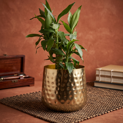 Small hammered gold metal plant pot holding lucky bamboo, positioned on a woven brown desk mat against a textured terracotta wall alongside a wooden box and journals.